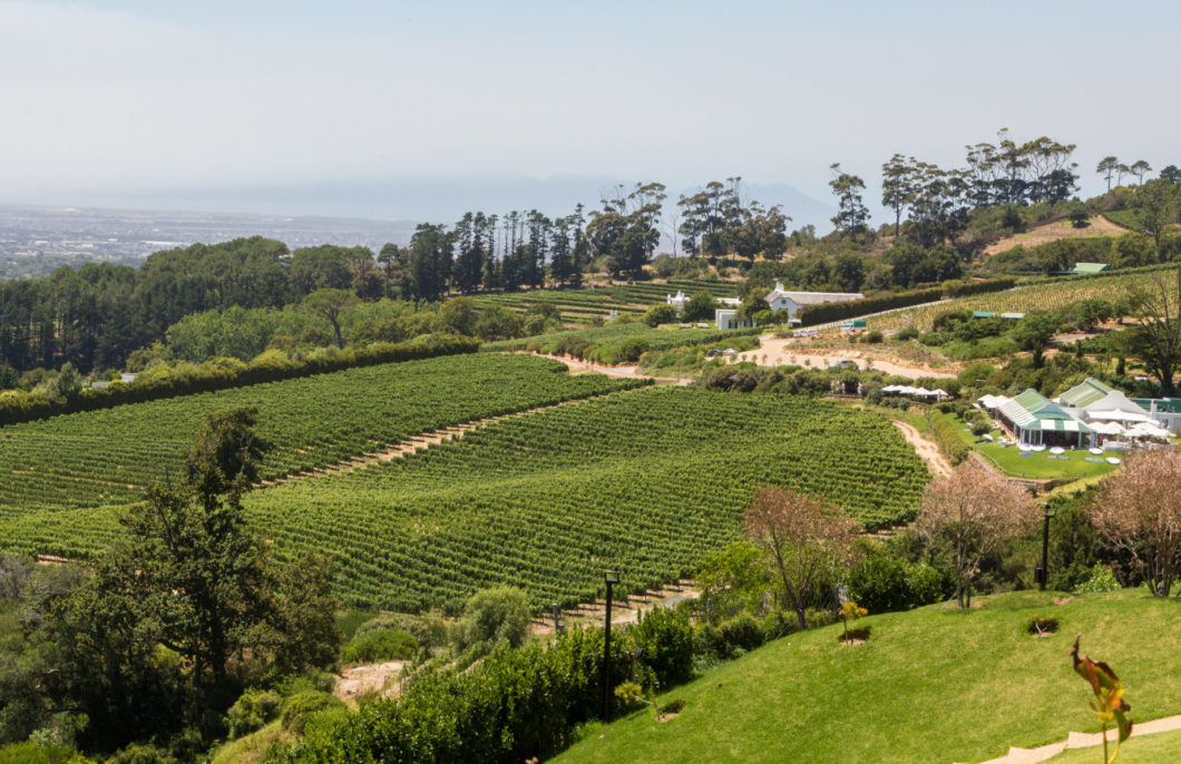 Constantia Glen 16